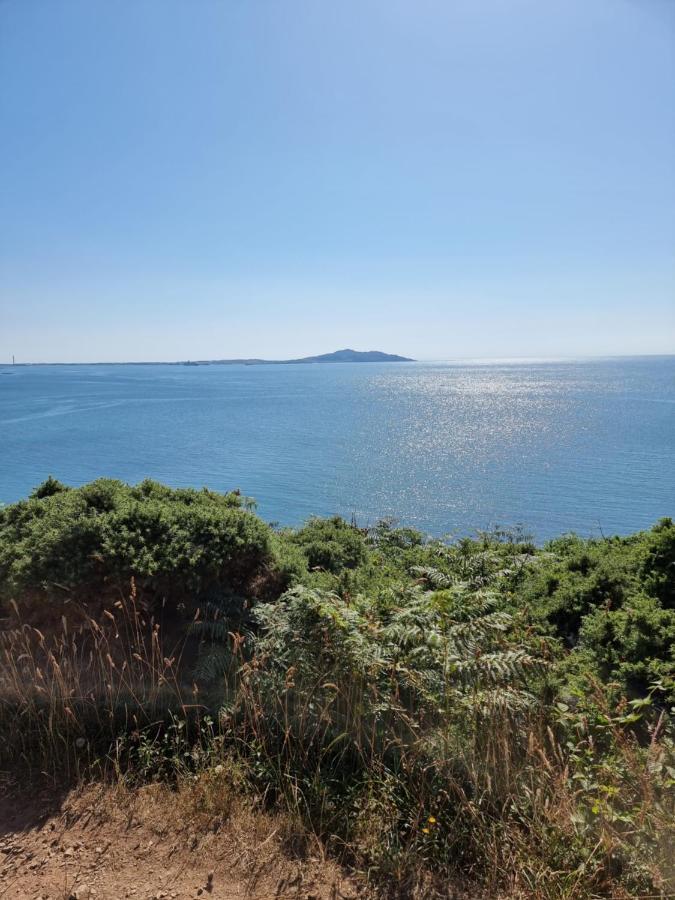 Llanrhyddlad The Lobster Pot Cottage Church Bay מראה חיצוני תמונה